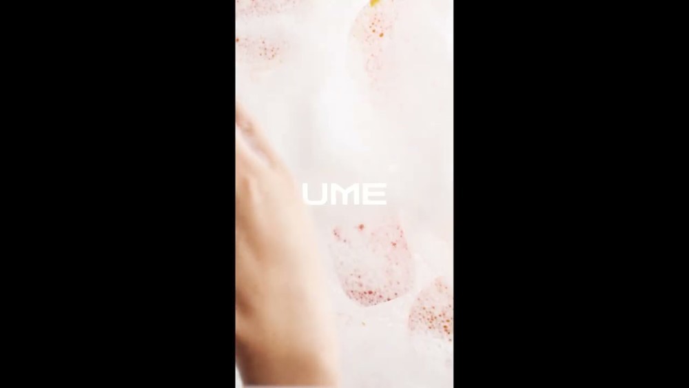 UME 6